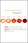 thumbnail of the website ejdruphansen.dk